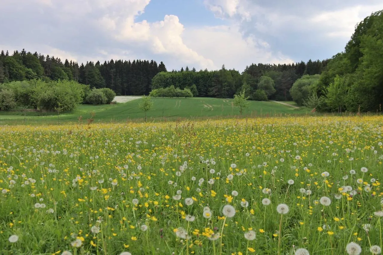 Heumanns Blockhaeuser Am Wald Pottenstein Resort
